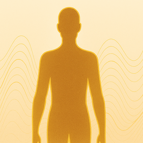 VIP Guided Meditations